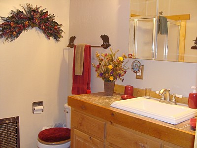 Payson cabin rental - Downstairs bathroom
